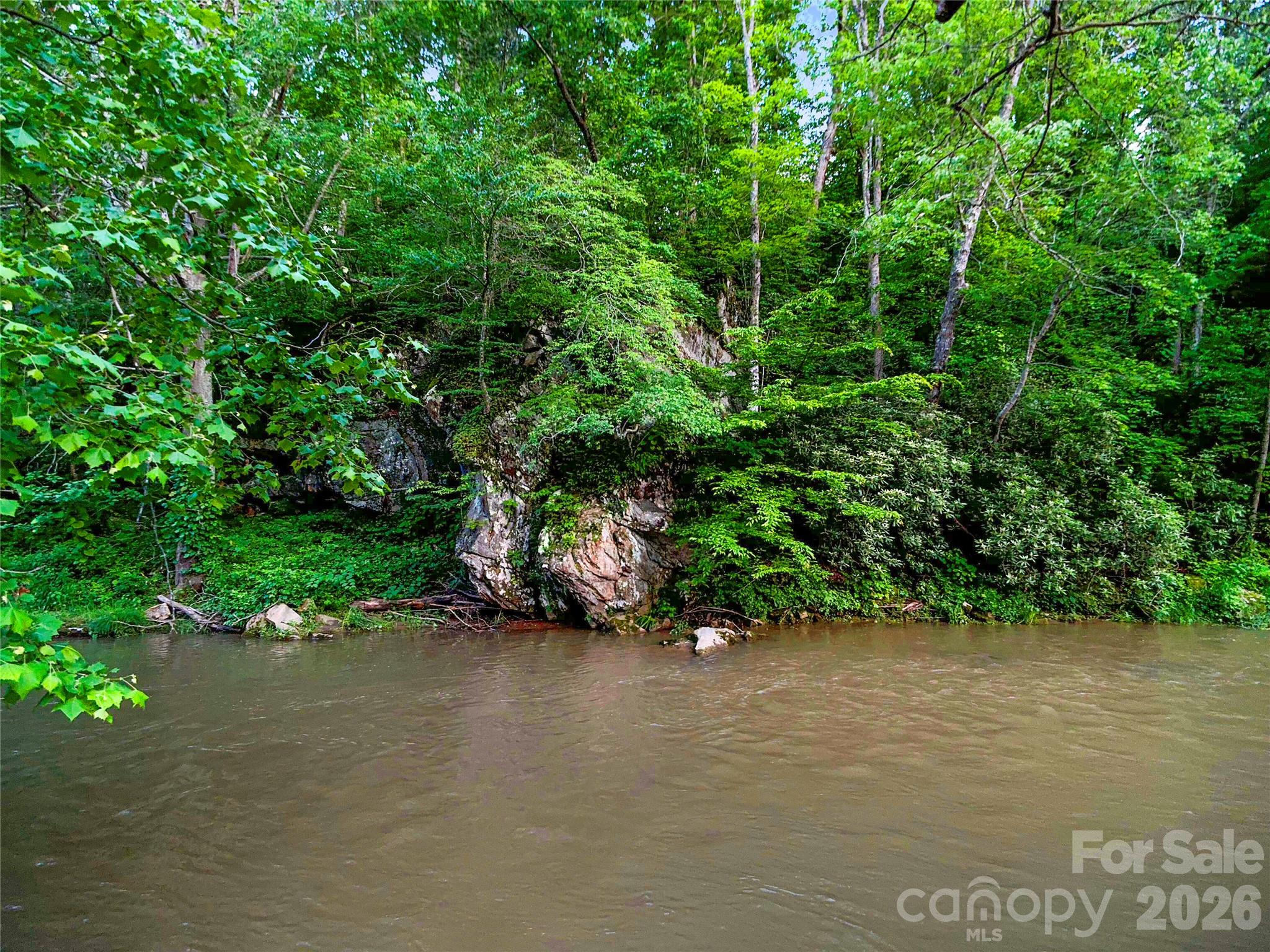 99999 Bear Creek Road Marshall NC 28753