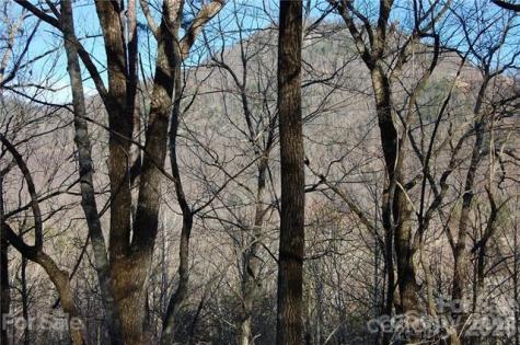 Lot 30 Summit Court Lake Lure NC 28746