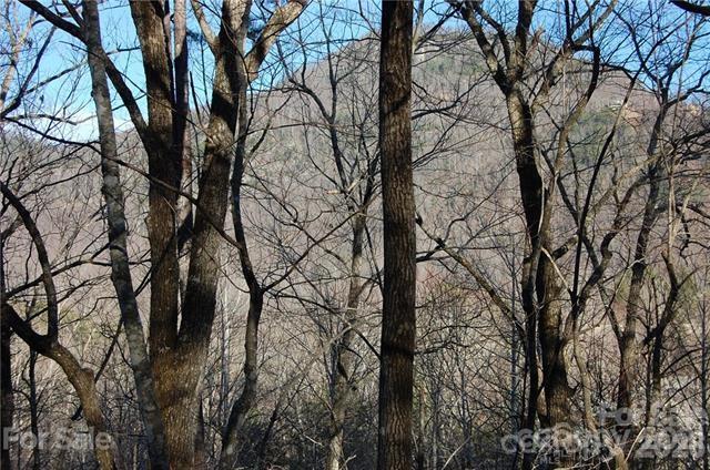 Lot 30 Summit Court Lake Lure NC 28746