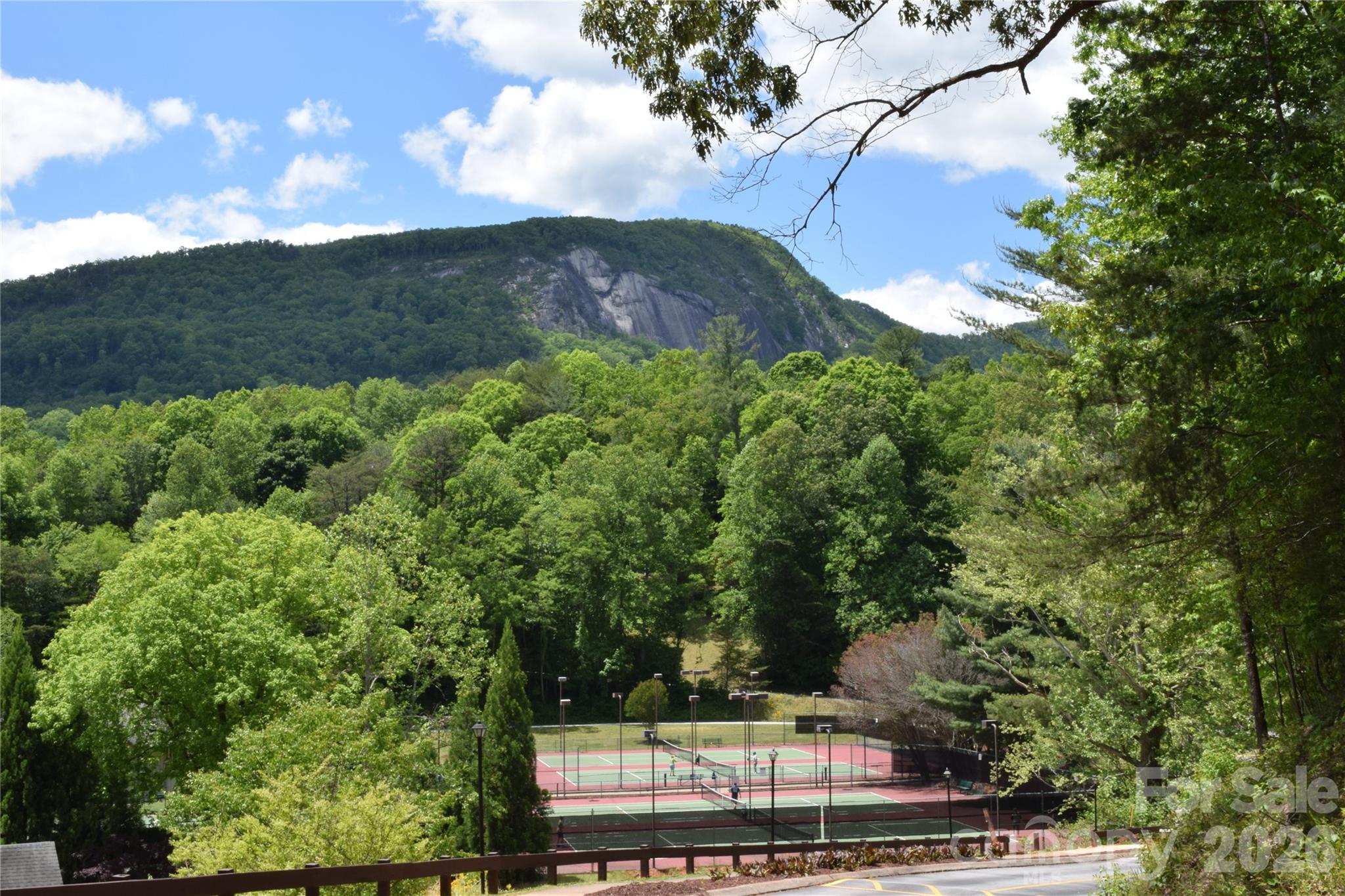 Lot 30 Summit Court Lake Lure NC 28746