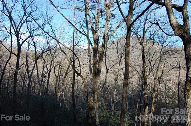 Lot 30 Summit Court Lake Lure NC 28746