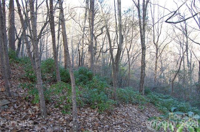 Lot 30 Summit Court Lake Lure NC 28746