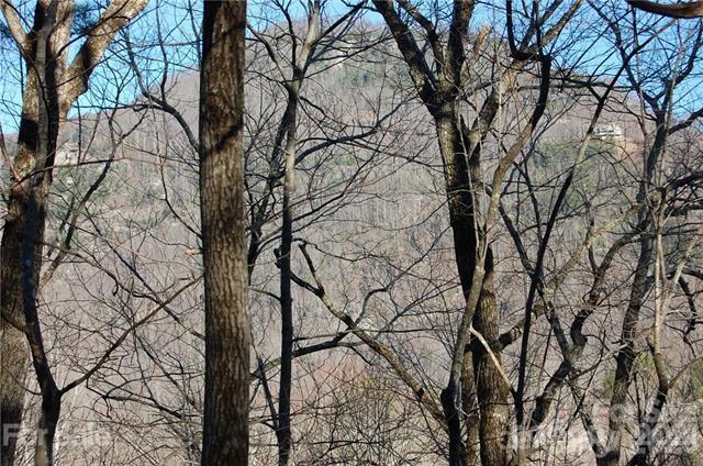 Lot 30 Summit Court Lake Lure NC 28746