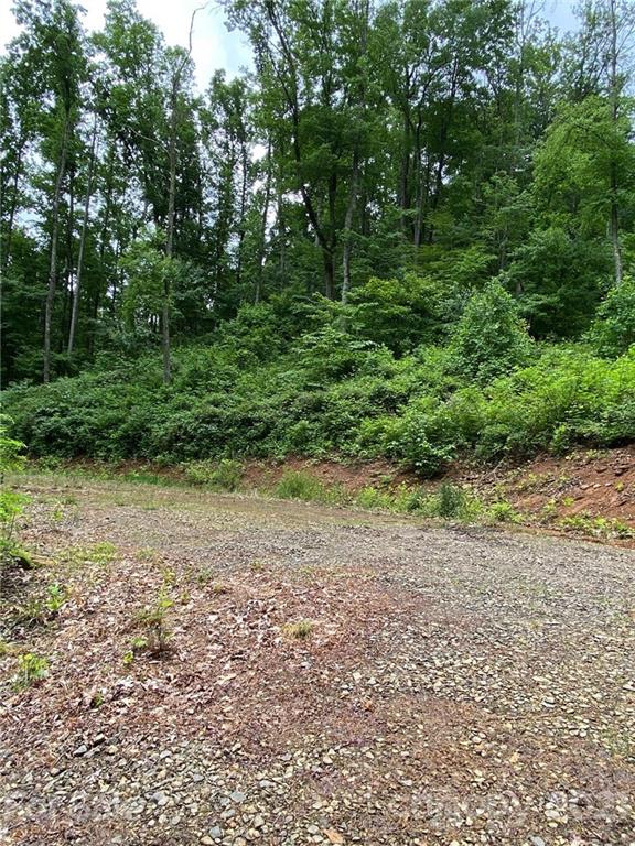 109 Apgar Road Candler NC 28715