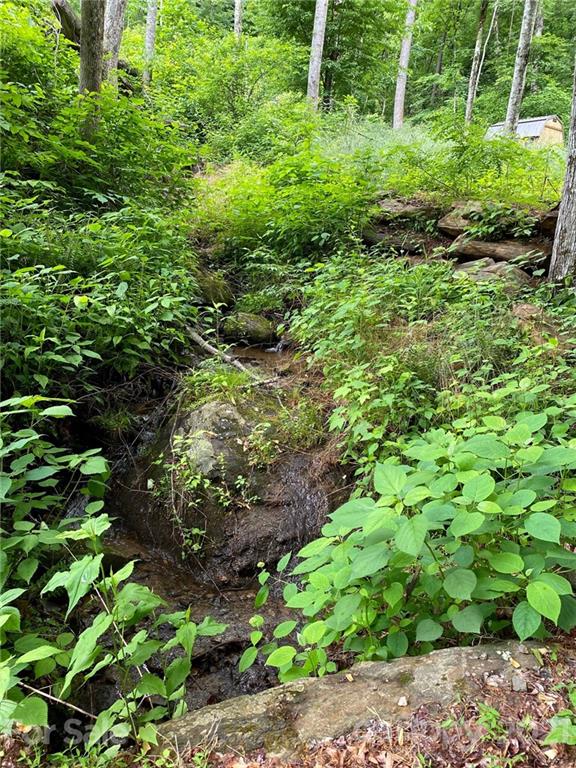 109 Apgar Road Candler NC 28715
