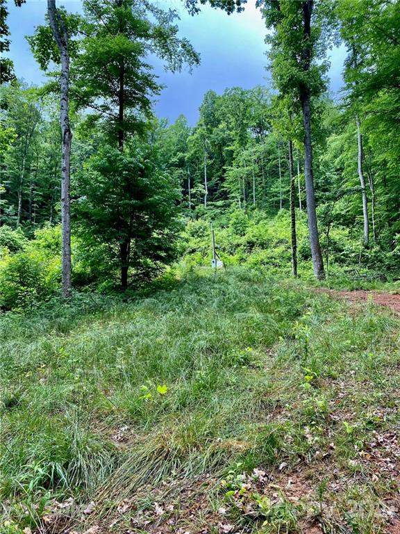 109 Apgar Road Candler NC 28715