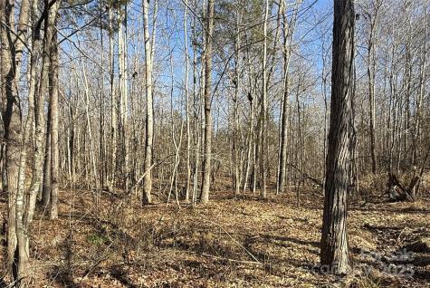 10+/-AC Ramah Church Road York SC 29745