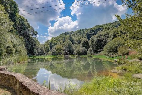 3 Chestnut Village Lane Mars Hill NC 28754