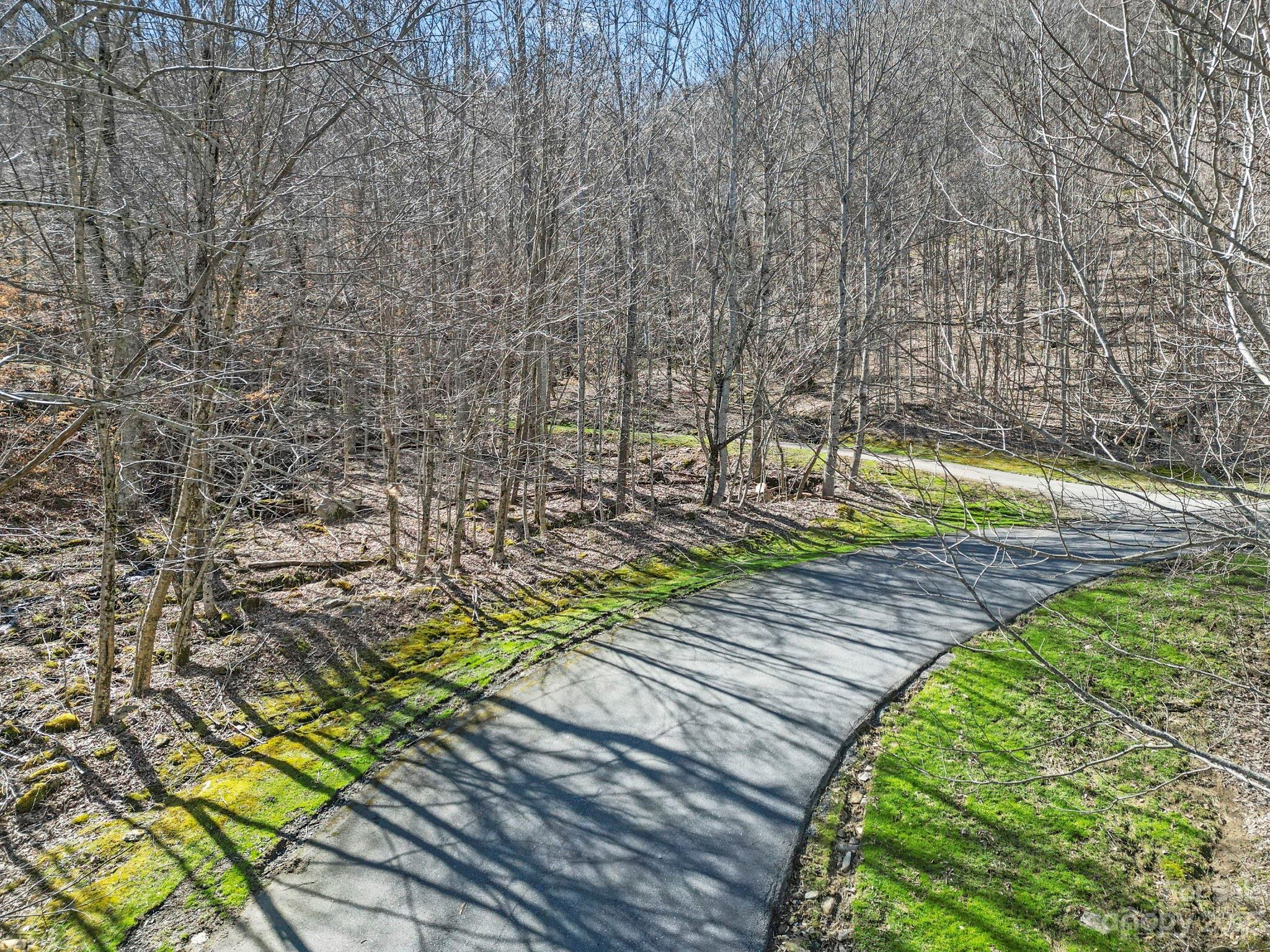 3 Chestnut Village Lane Mars Hill NC 28754