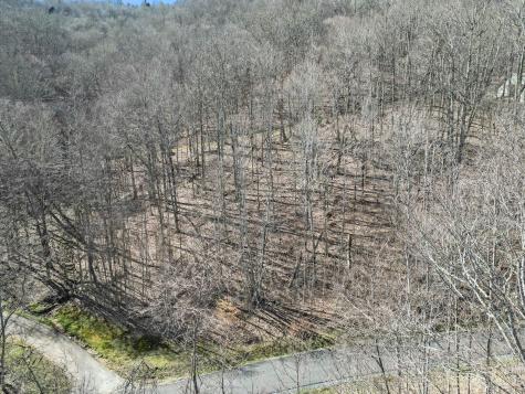 3 Chestnut Village Lane Mars Hill NC 28754