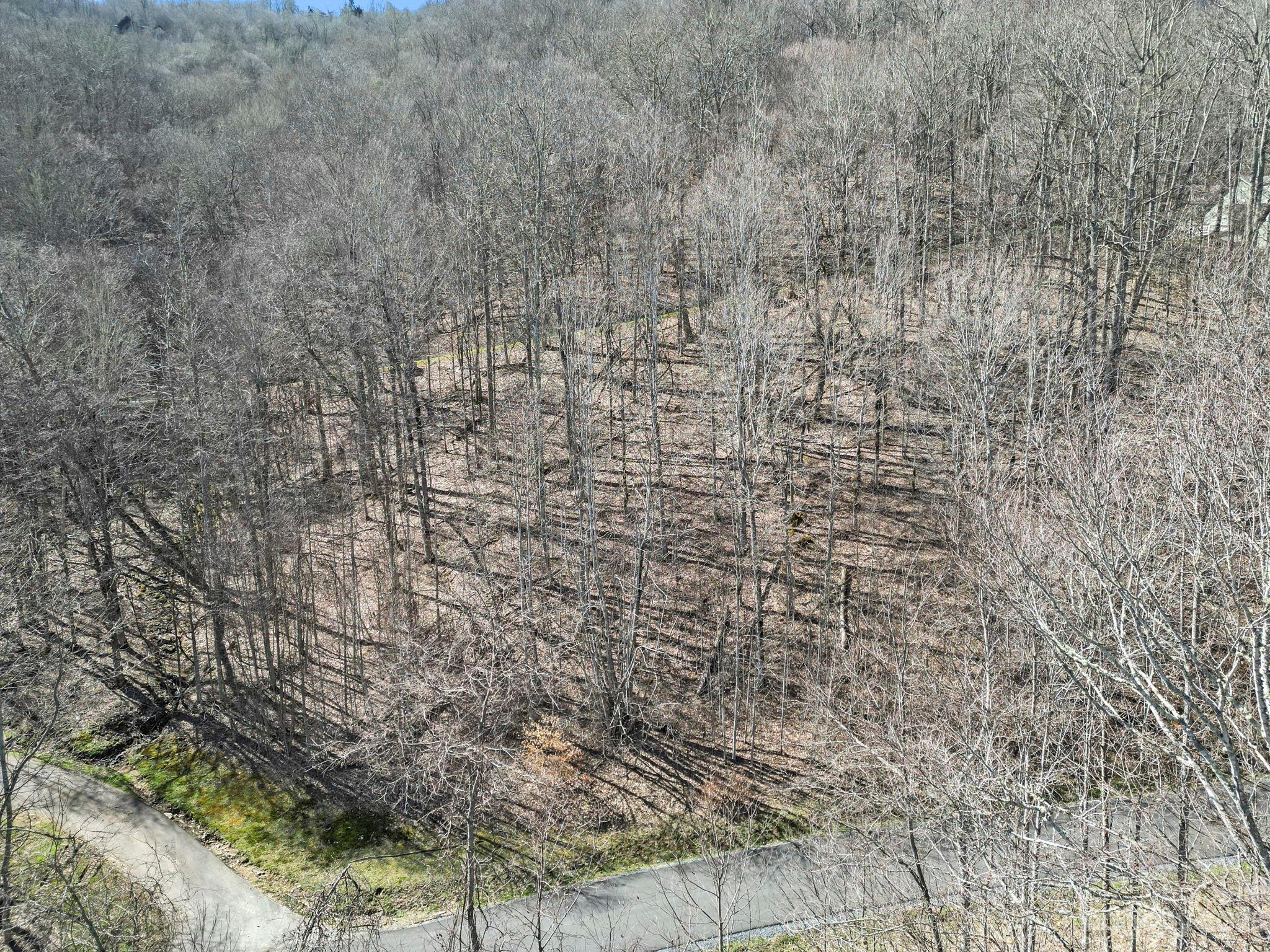 3 Chestnut Village Lane Mars Hill NC 28754