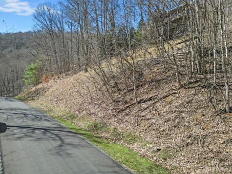 3 Chestnut Village Lane Mars Hill NC 28754