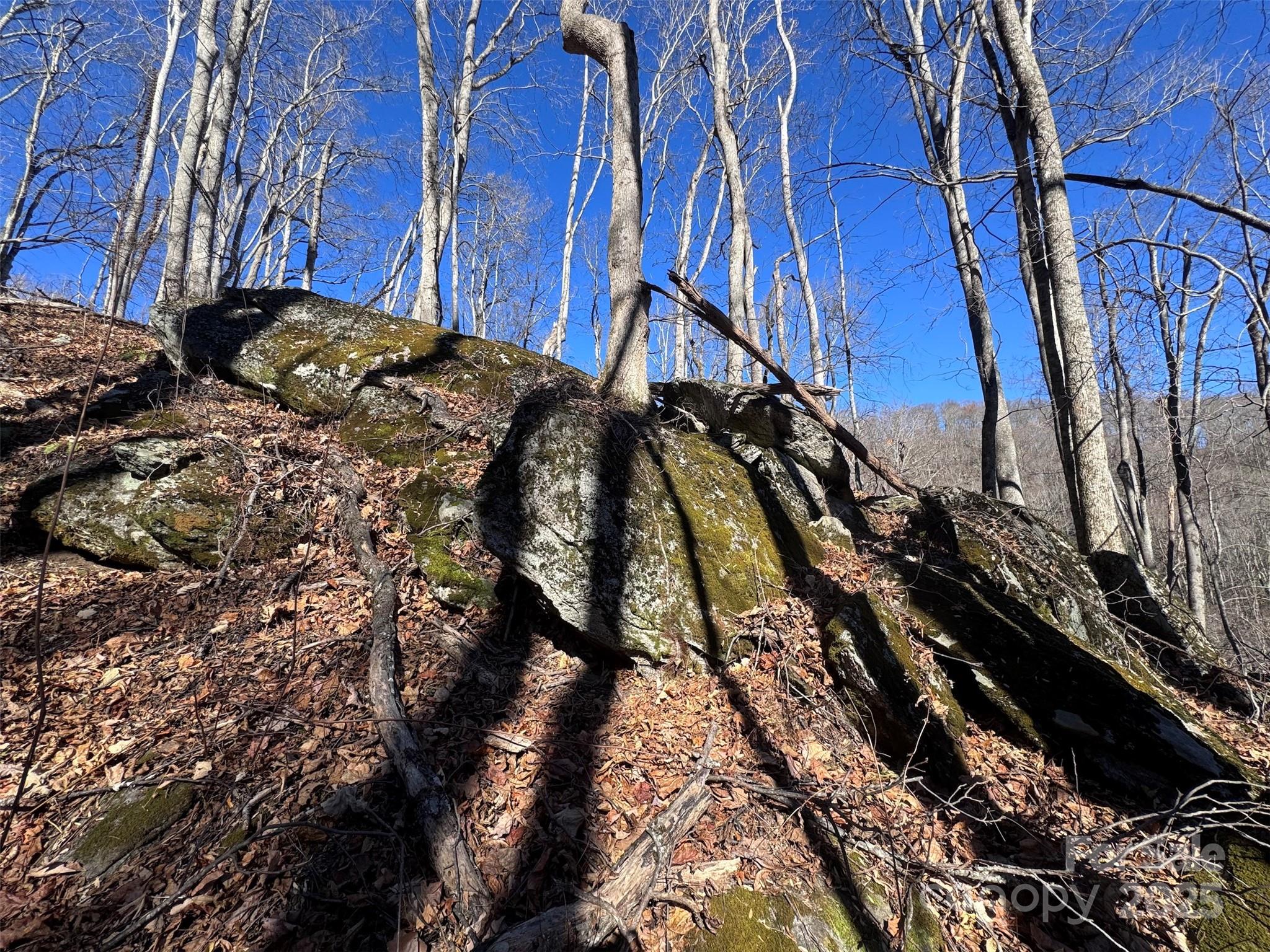 15 +/- Acres Riddle Branch Road Burnsville NC 28714