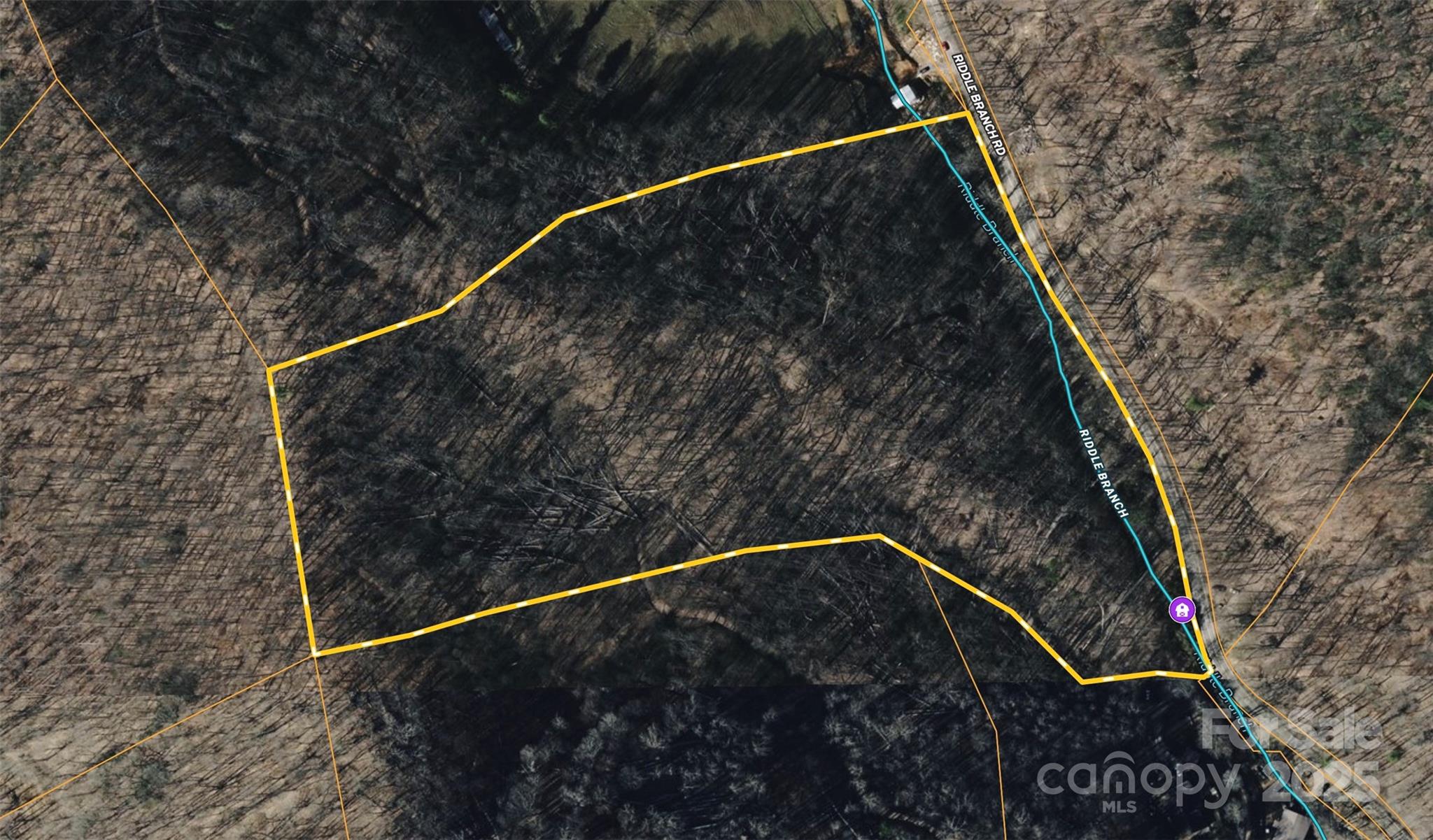 15 +/- Acres Riddle Branch Road Burnsville NC 28714