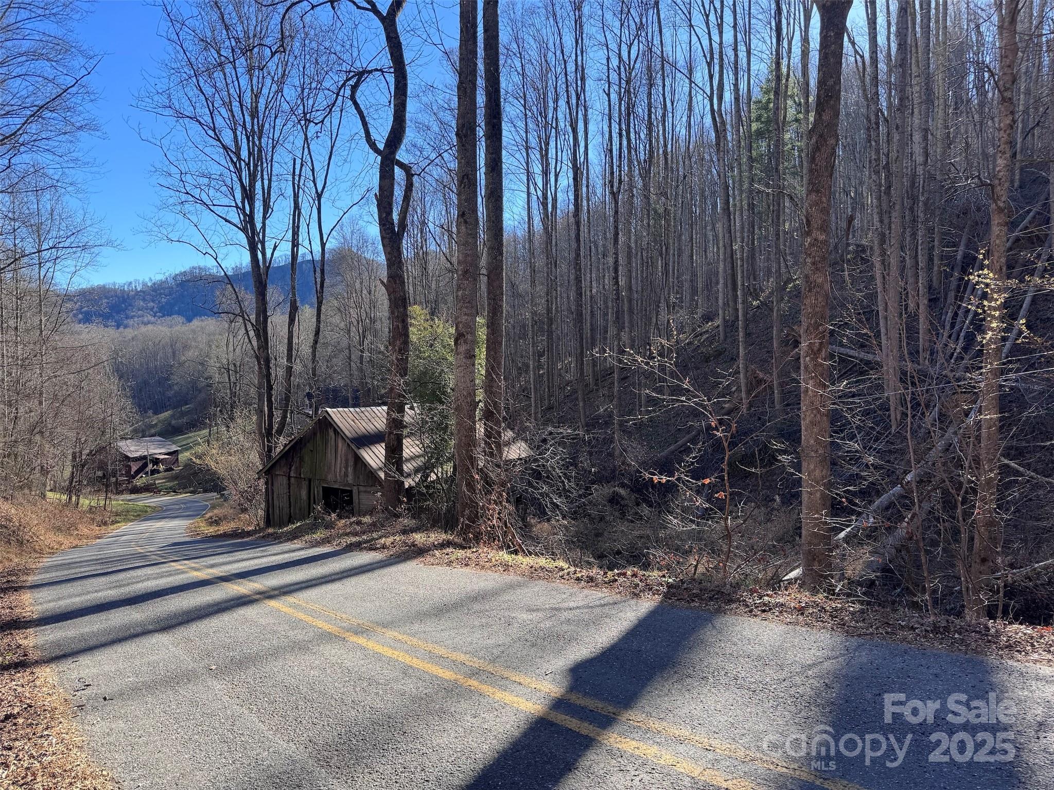 15 +/- Acres Riddle Branch Road Burnsville NC 28714