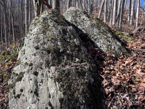 15 +/- Acres Riddle Branch Road Burnsville NC 28714