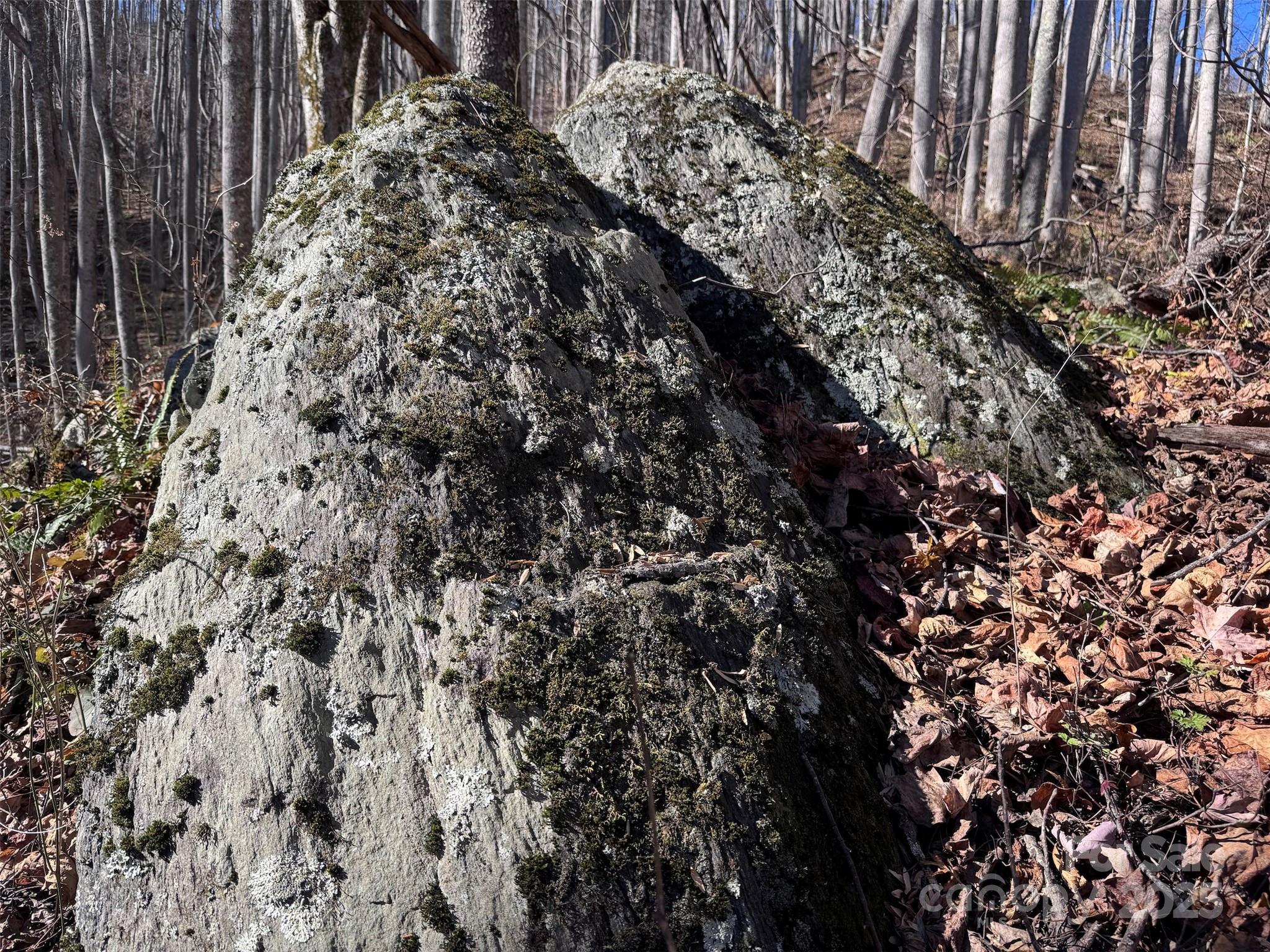 15 +/- Acres Riddle Branch Road Burnsville NC 28714