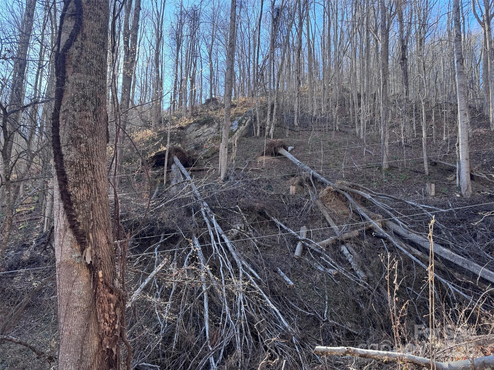 15 +/- Acres Riddle Branch Road Burnsville NC 28714