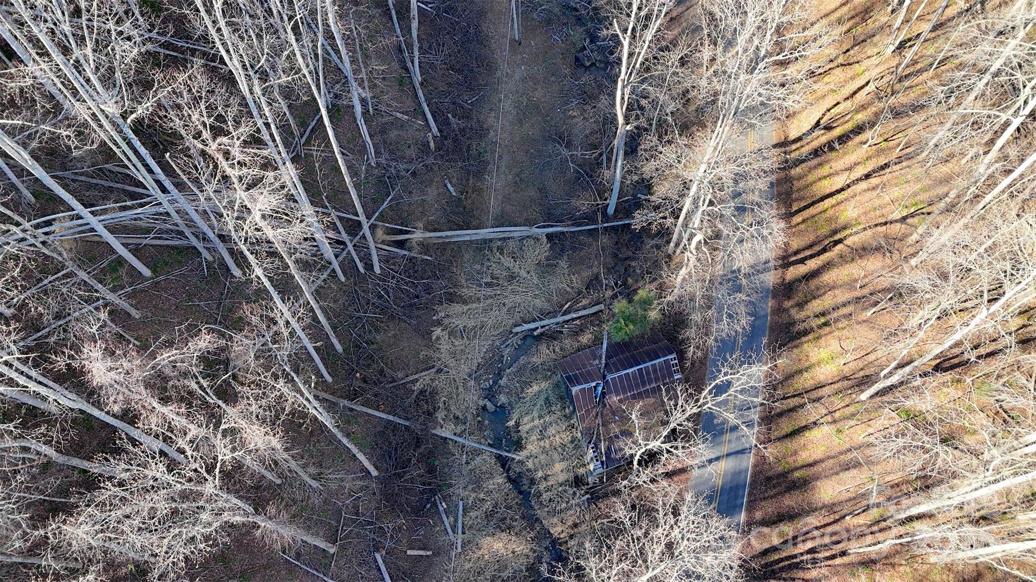 15 +/- Acres Riddle Branch Road Burnsville NC 28714