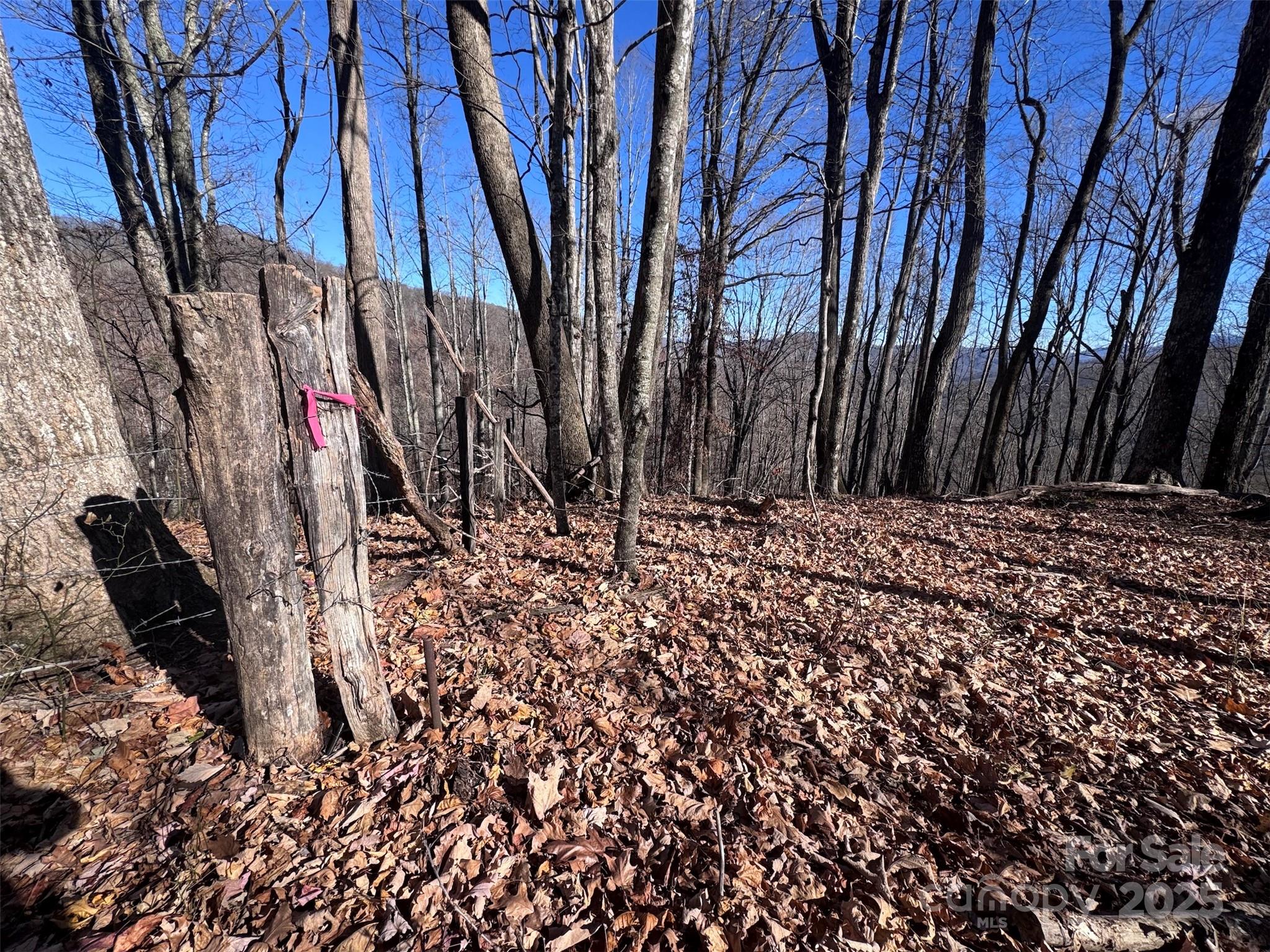 15 +/- Acres Riddle Branch Road Burnsville NC 28714