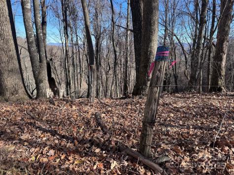 15 +/- Acres Riddle Branch Road Burnsville NC 28714