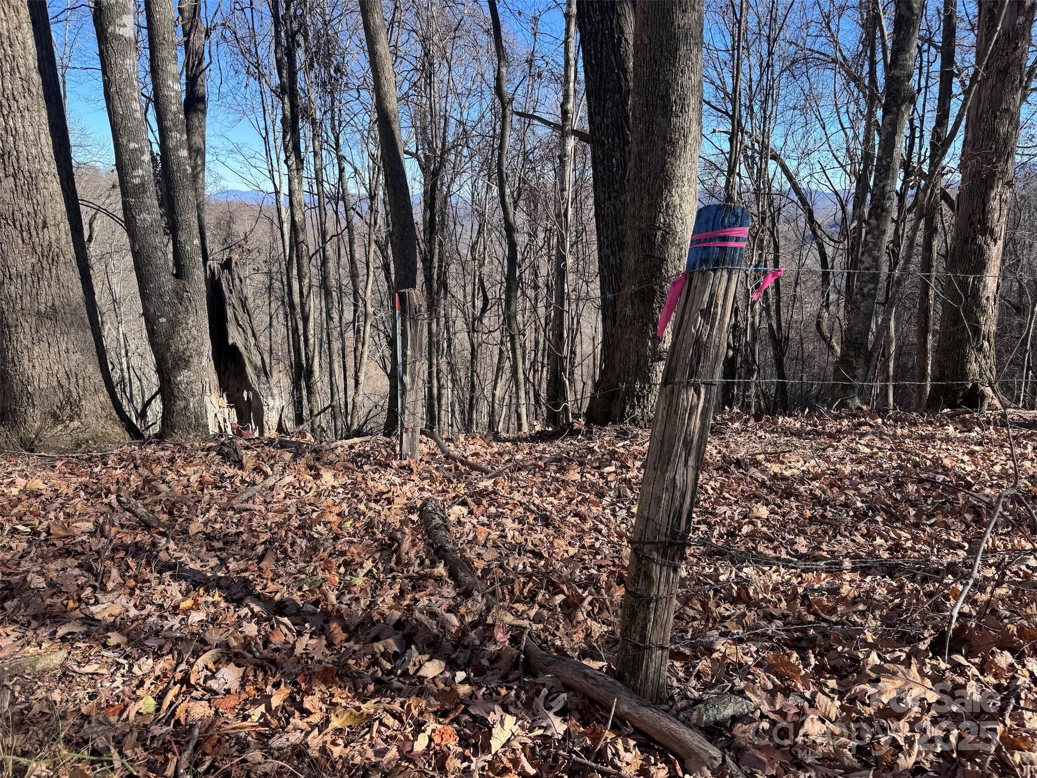15 +/- Acres Riddle Branch Road Burnsville NC 28714