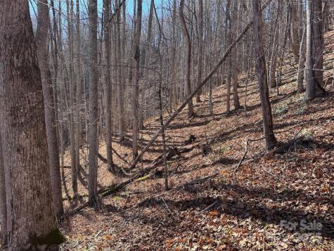 15 +/- Acres Riddle Branch Road Burnsville NC 28714