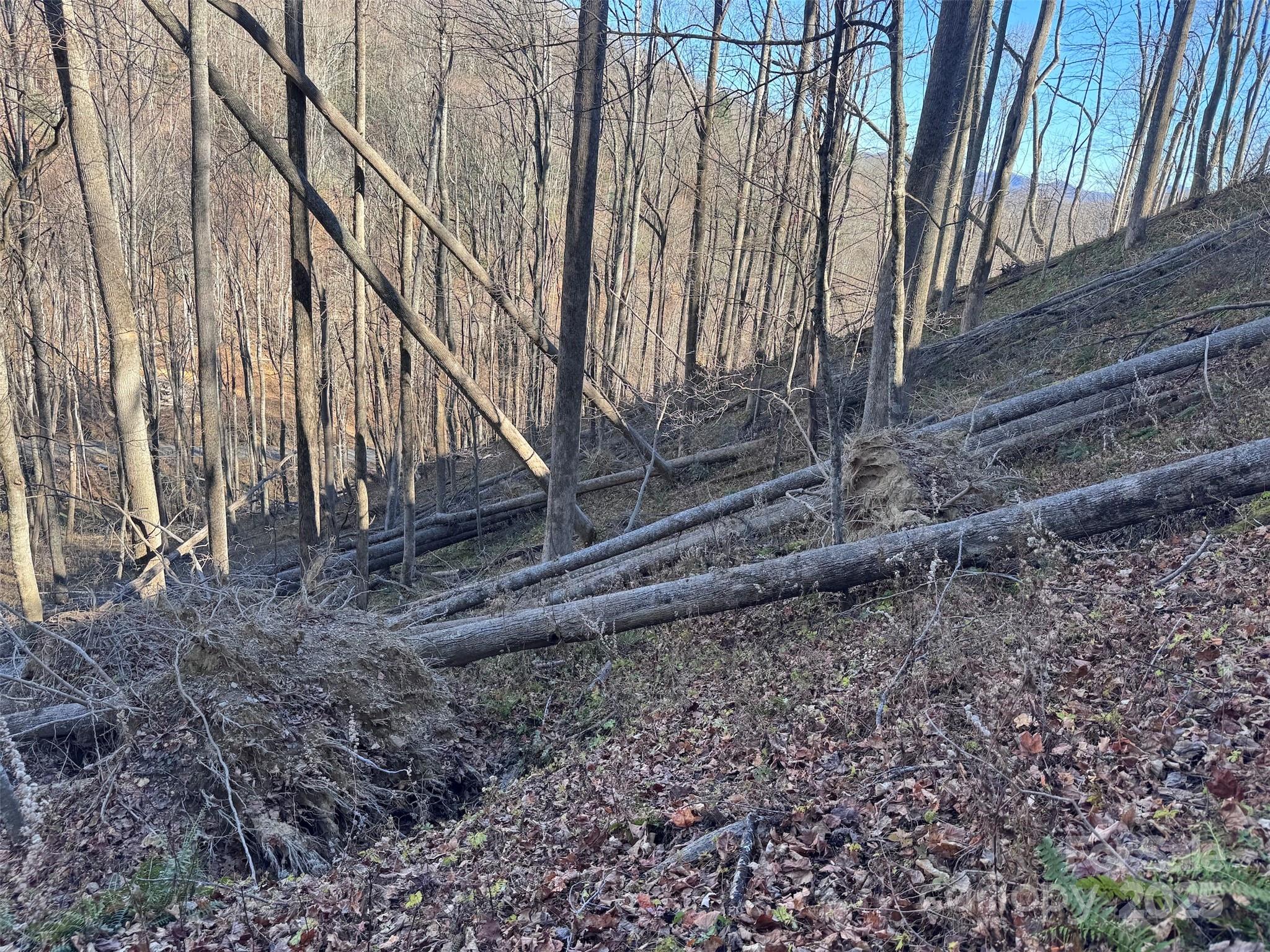 15 +/- Acres Riddle Branch Road Burnsville NC 28714