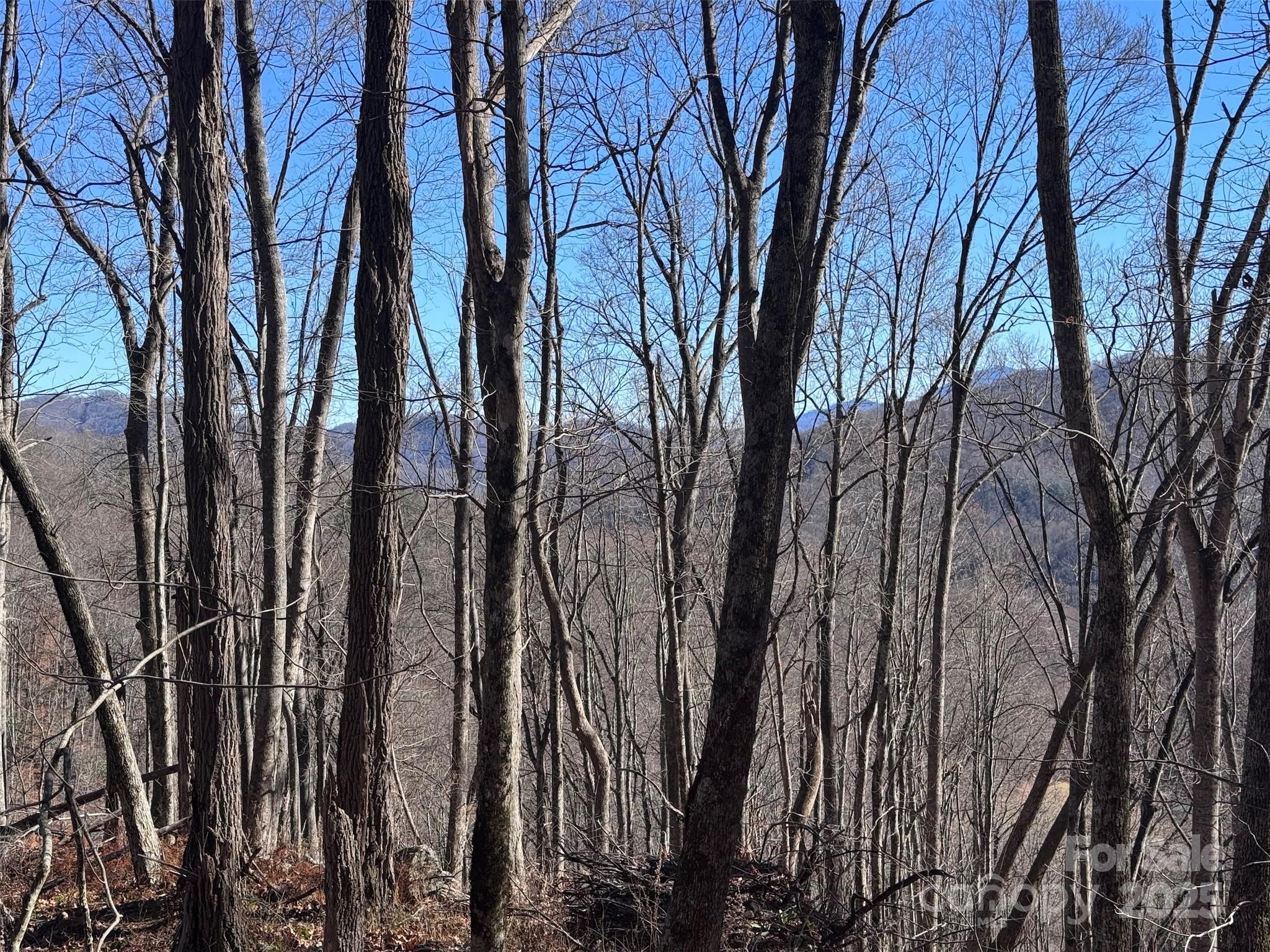 15 +/- Acres Riddle Branch Road Burnsville NC 28714