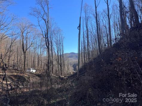 15 +/- Acres Riddle Branch Road Burnsville NC 28714
