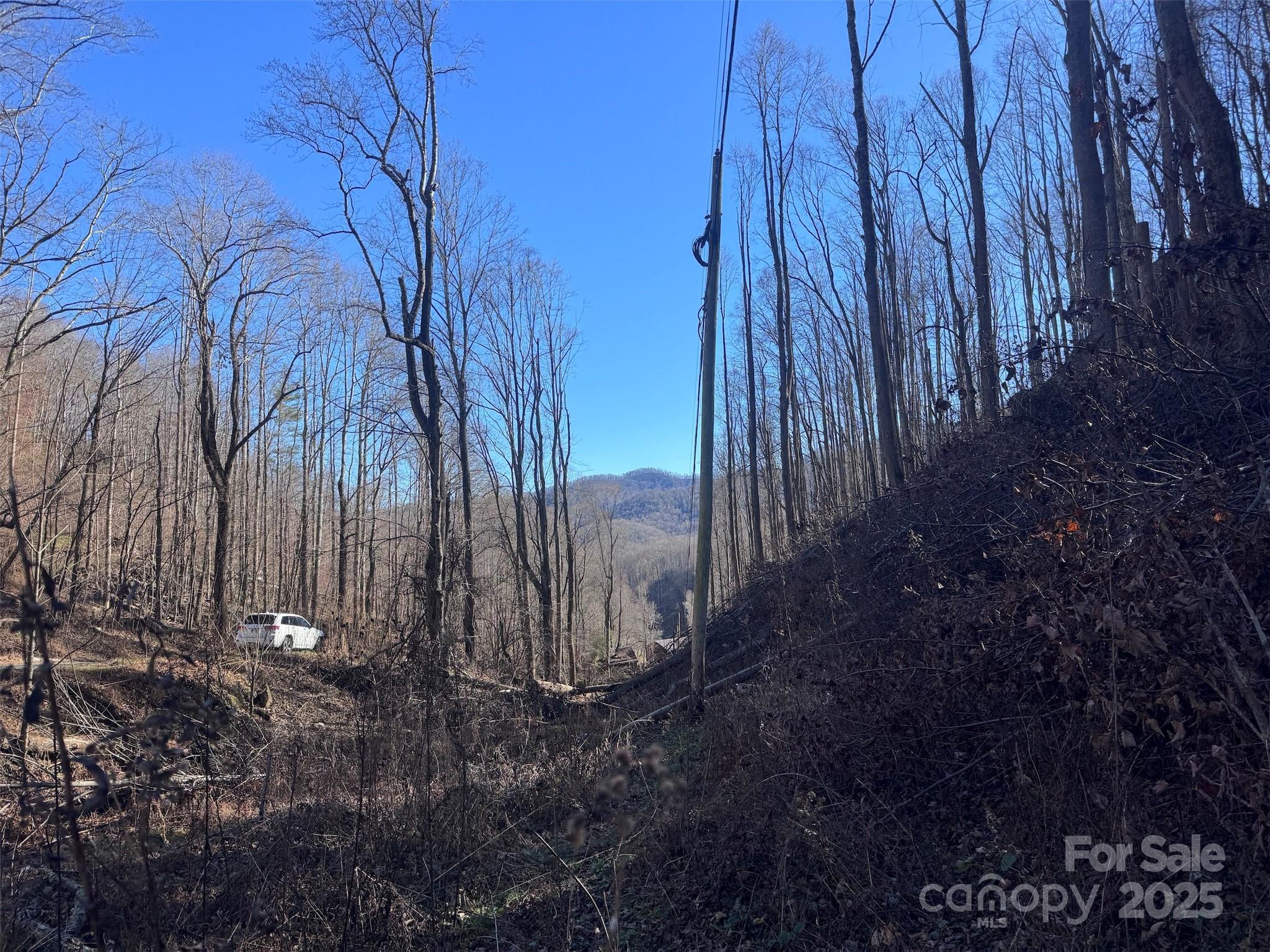 15 +/- Acres Riddle Branch Road Burnsville NC 28714