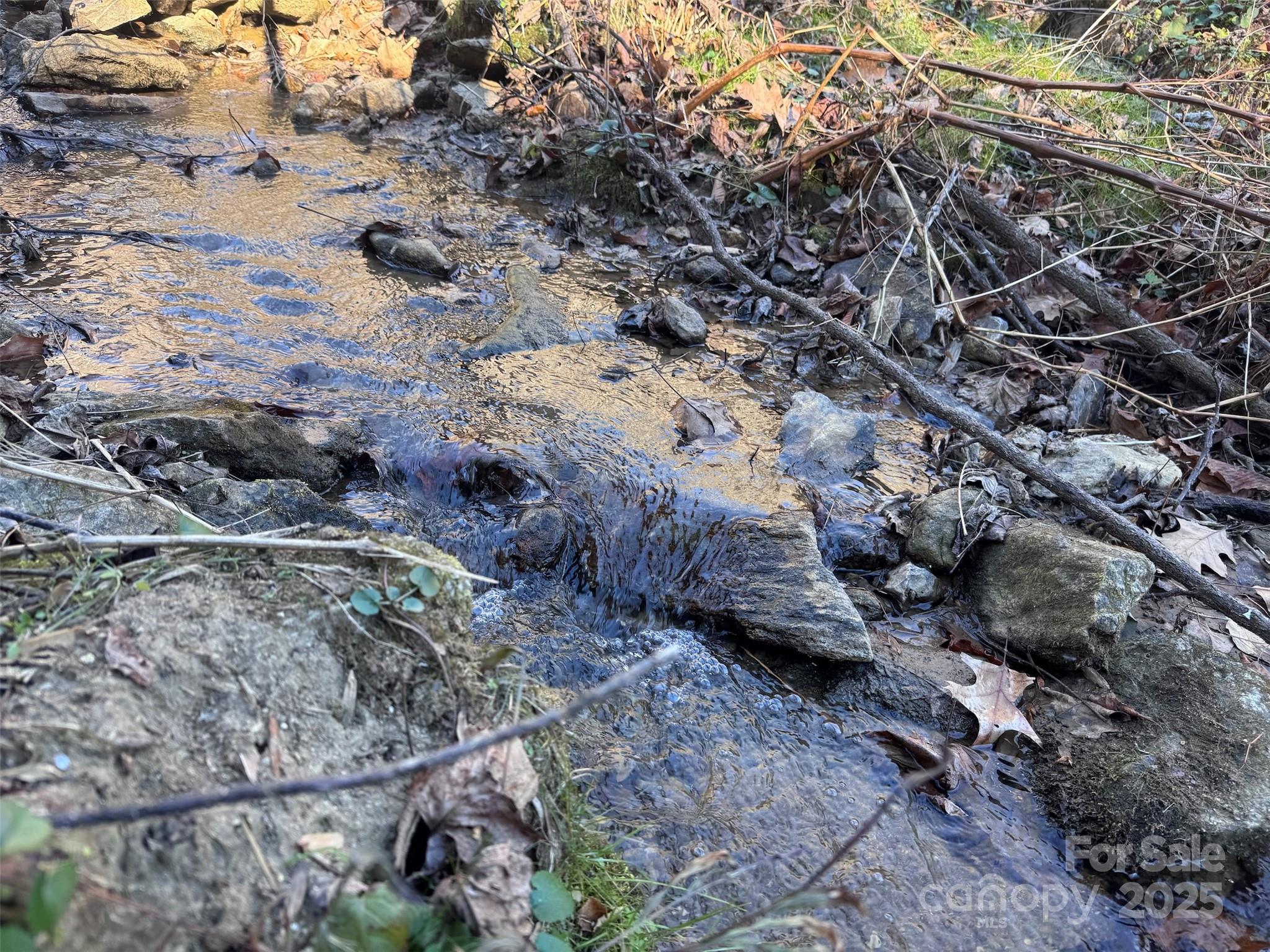 15 +/- Acres Riddle Branch Road Burnsville NC 28714