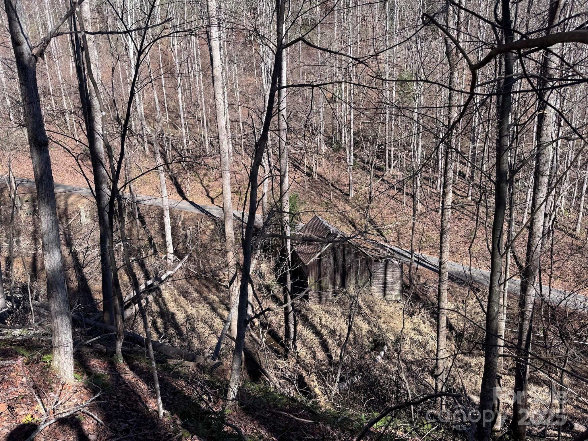 15 +/- Acres Riddle Branch Road Burnsville NC 28714