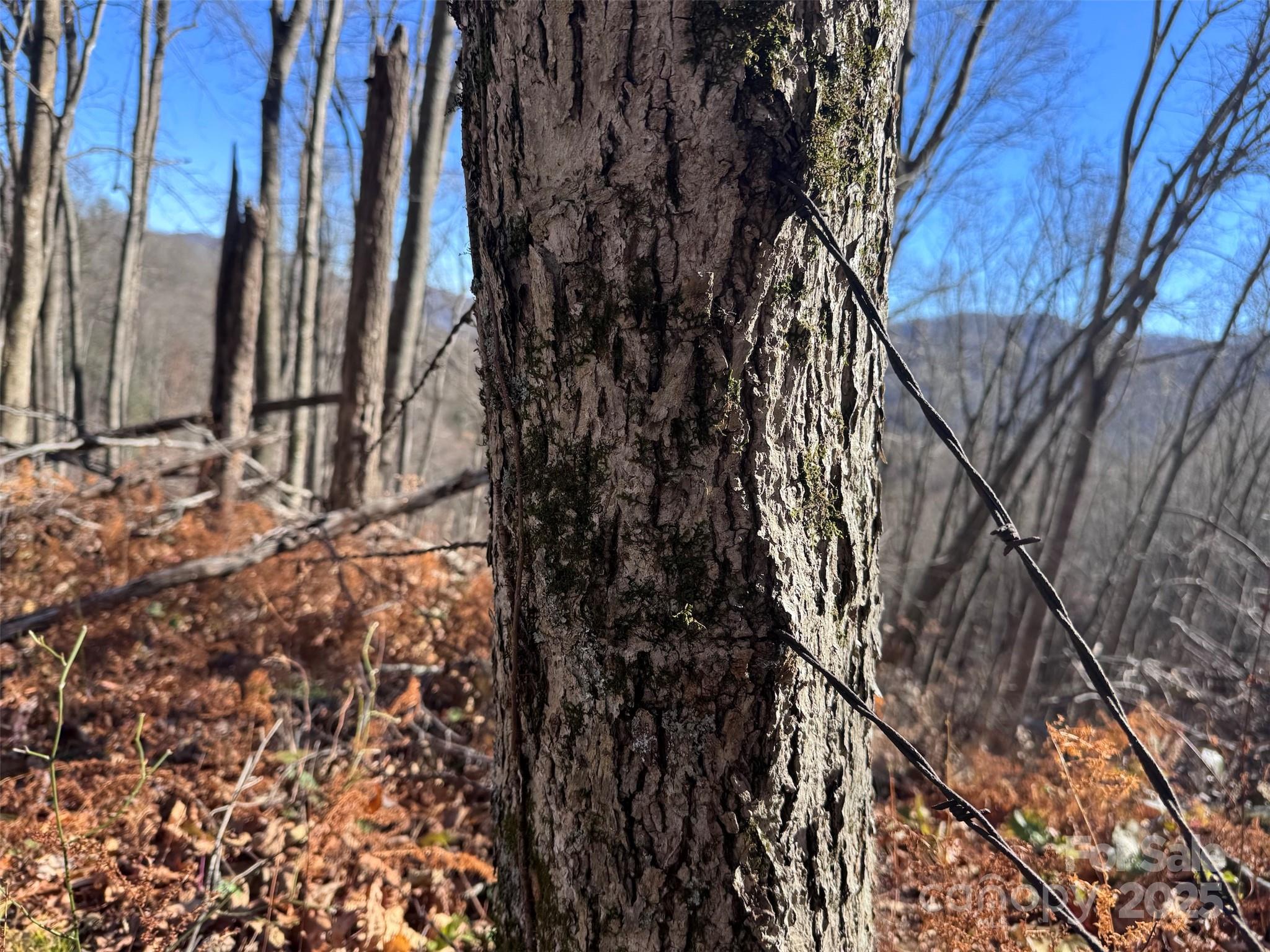 15 +/- Acres Riddle Branch Road Burnsville NC 28714