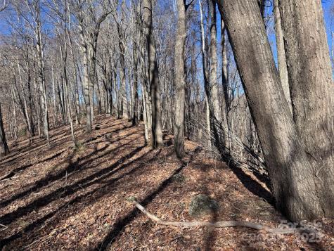 15 +/- Acres Riddle Branch Road Burnsville NC 28714