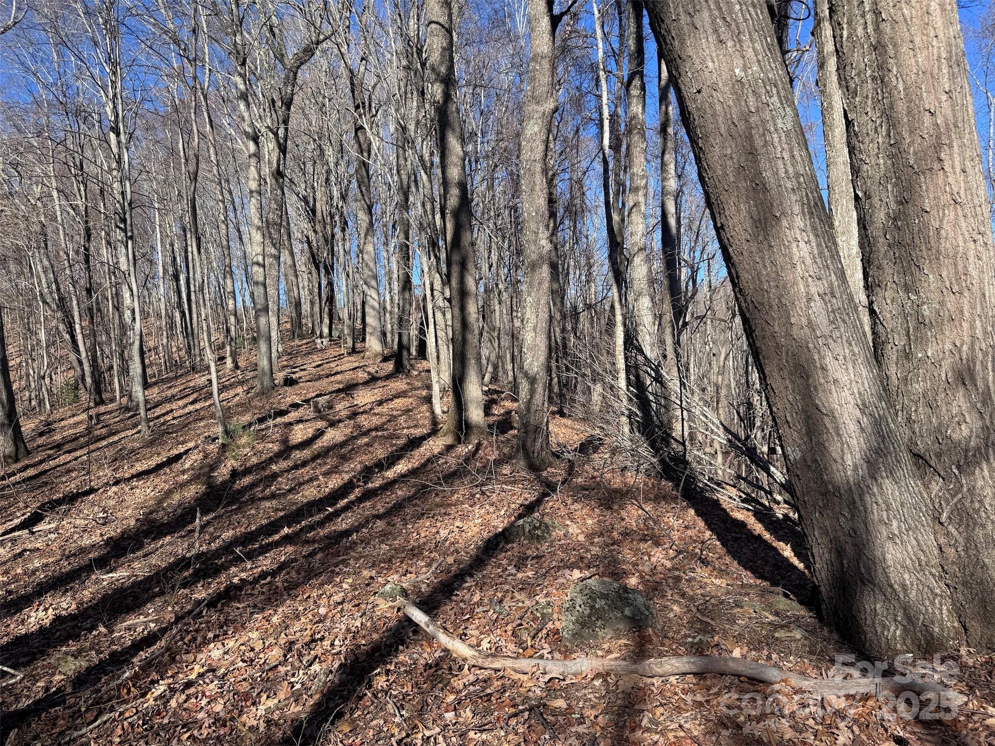 15 +/- Acres Riddle Branch Road Burnsville NC 28714