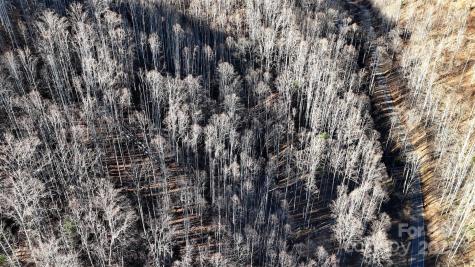 15 +/- Acres Riddle Branch Road Burnsville NC 28714