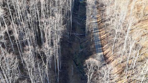 15 +/- Acres Riddle Branch Road Burnsville NC 28714