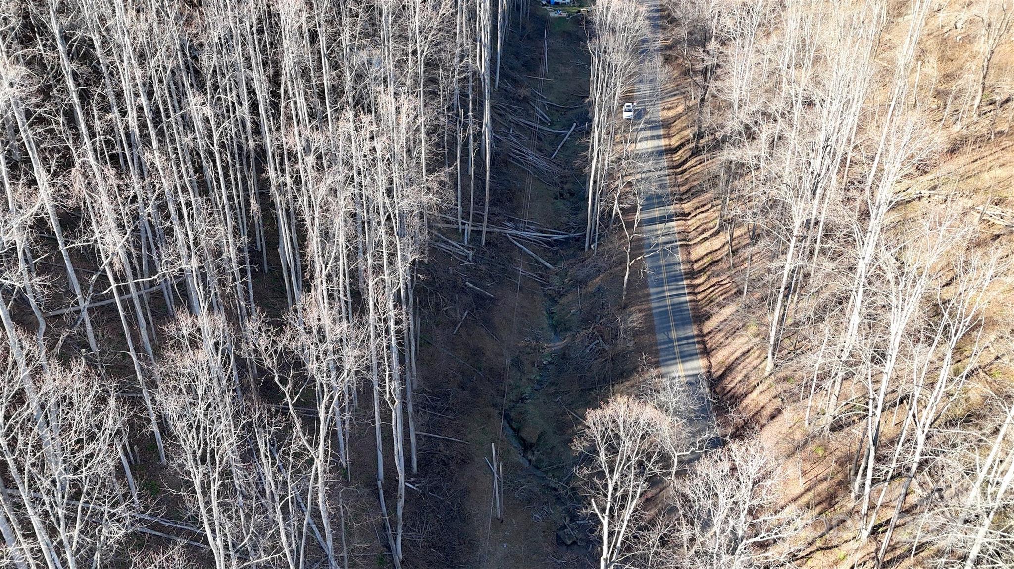 15 +/- Acres Riddle Branch Road Burnsville NC 28714