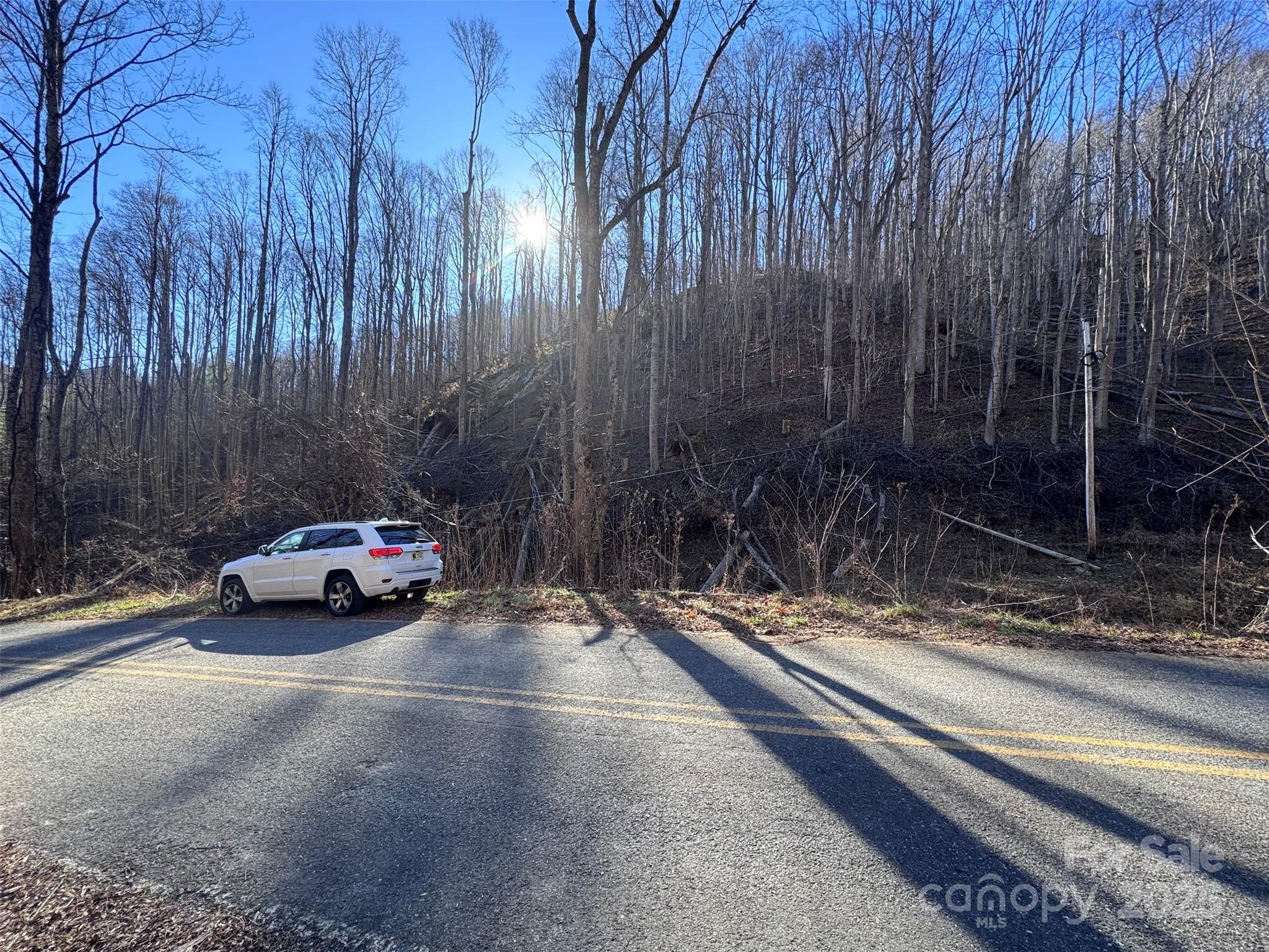 15 +/- Acres Riddle Branch Road Burnsville NC 28714