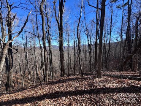 15 +/- Acres Riddle Branch Road Burnsville NC 28714
