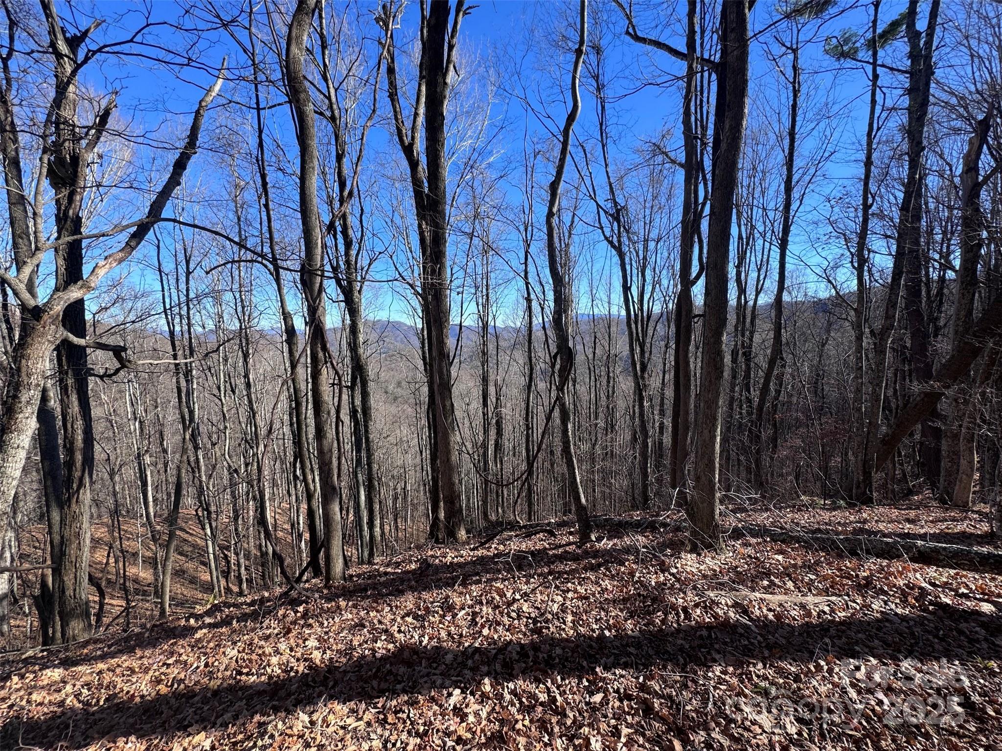 15 +/- Acres Riddle Branch Road Burnsville NC 28714