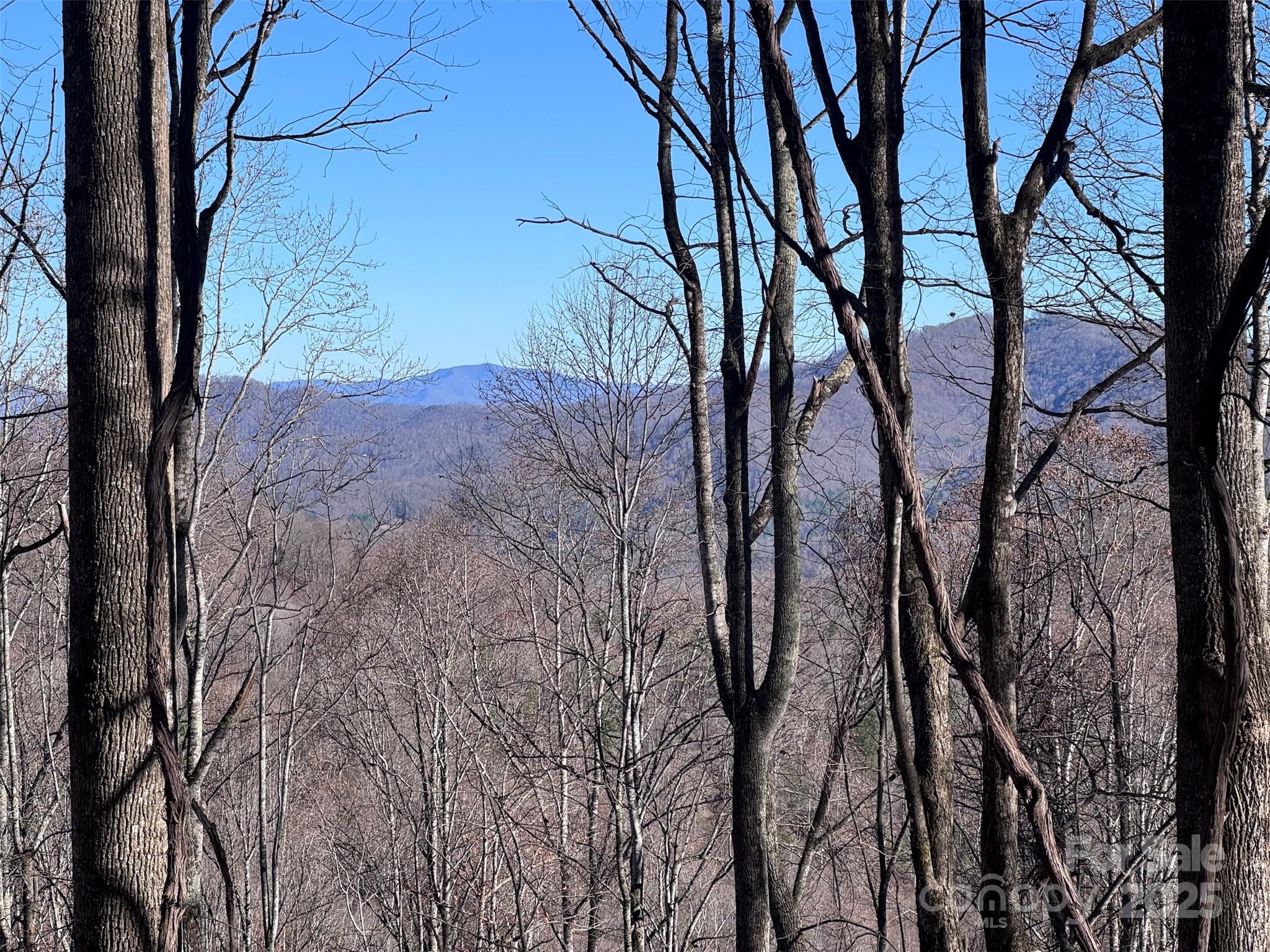 15 +/- Acres Riddle Branch Road Burnsville NC 28714