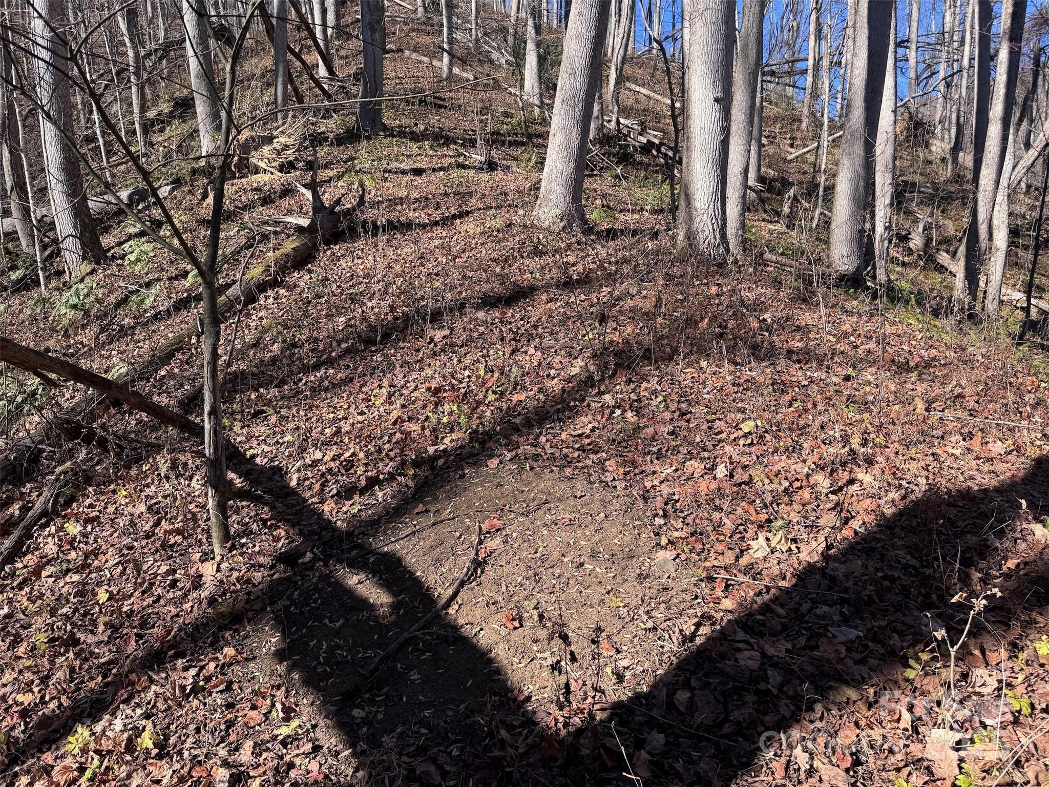 15 +/- Acres Riddle Branch Road Burnsville NC 28714