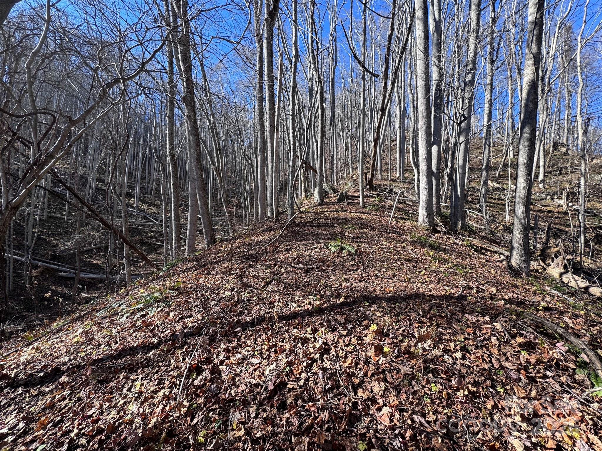 15 +/- Acres Riddle Branch Road Burnsville NC 28714