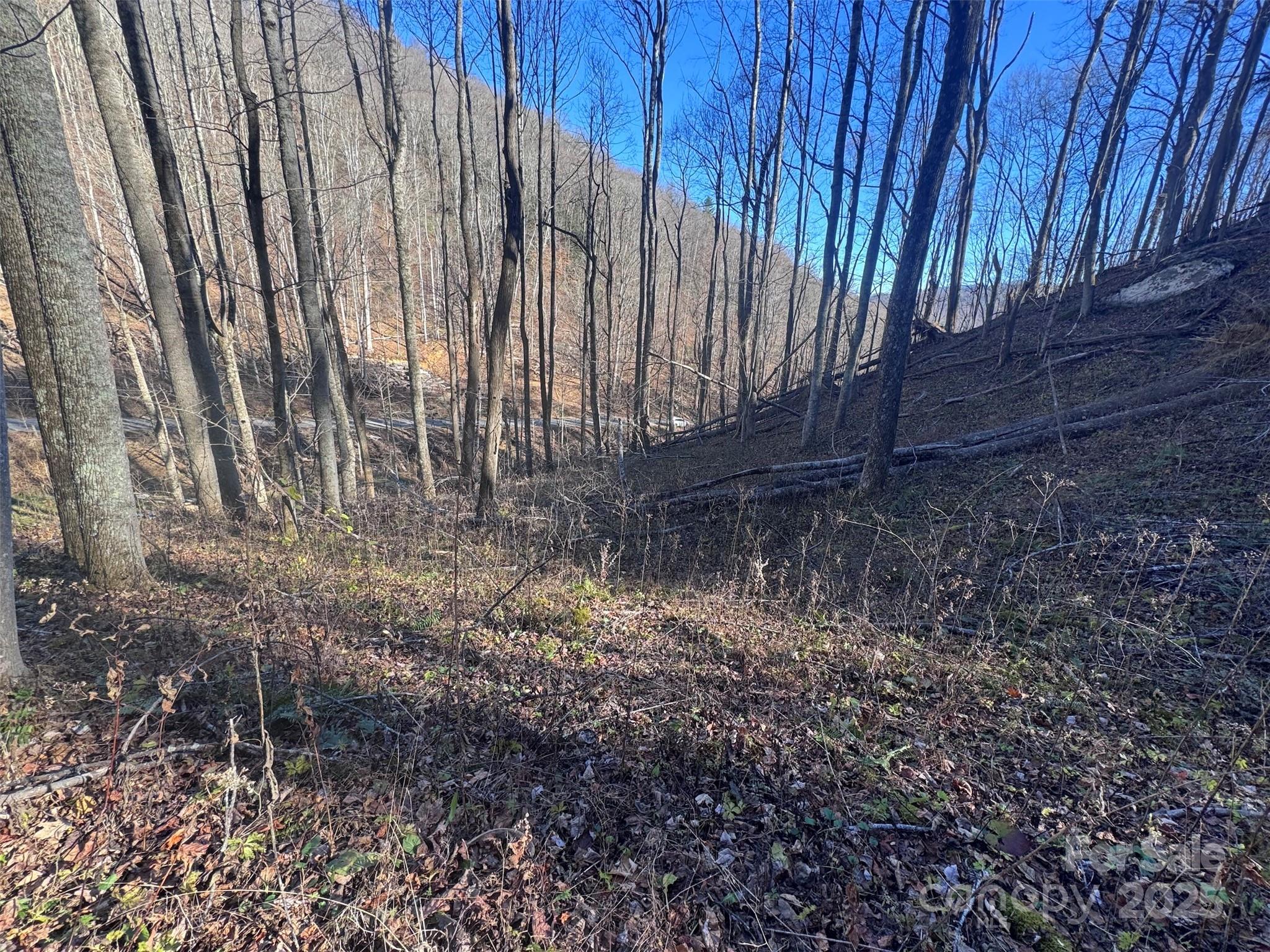 15 +/- Acres Riddle Branch Road Burnsville NC 28714