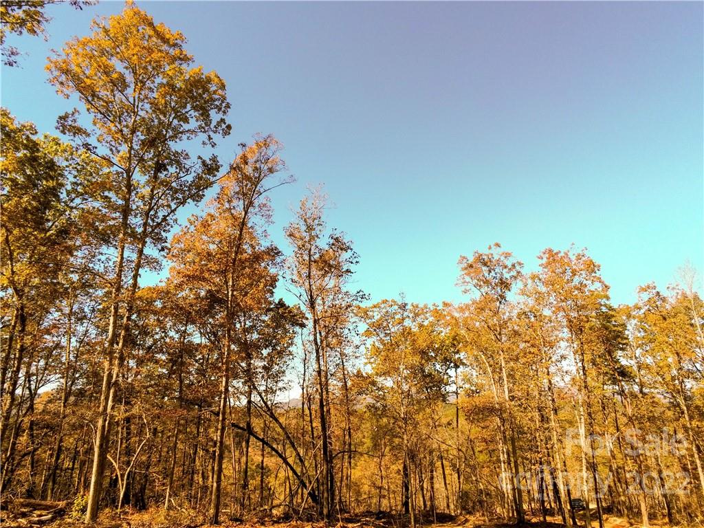 0 Hardin Store Road Rutherfordton NC 28139