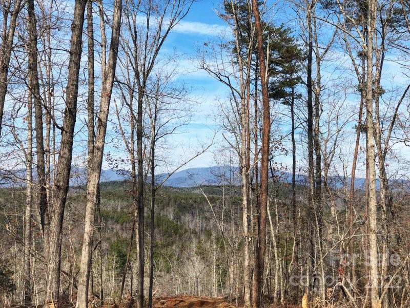 0 Hardin Store Road Rutherfordton NC 28139
