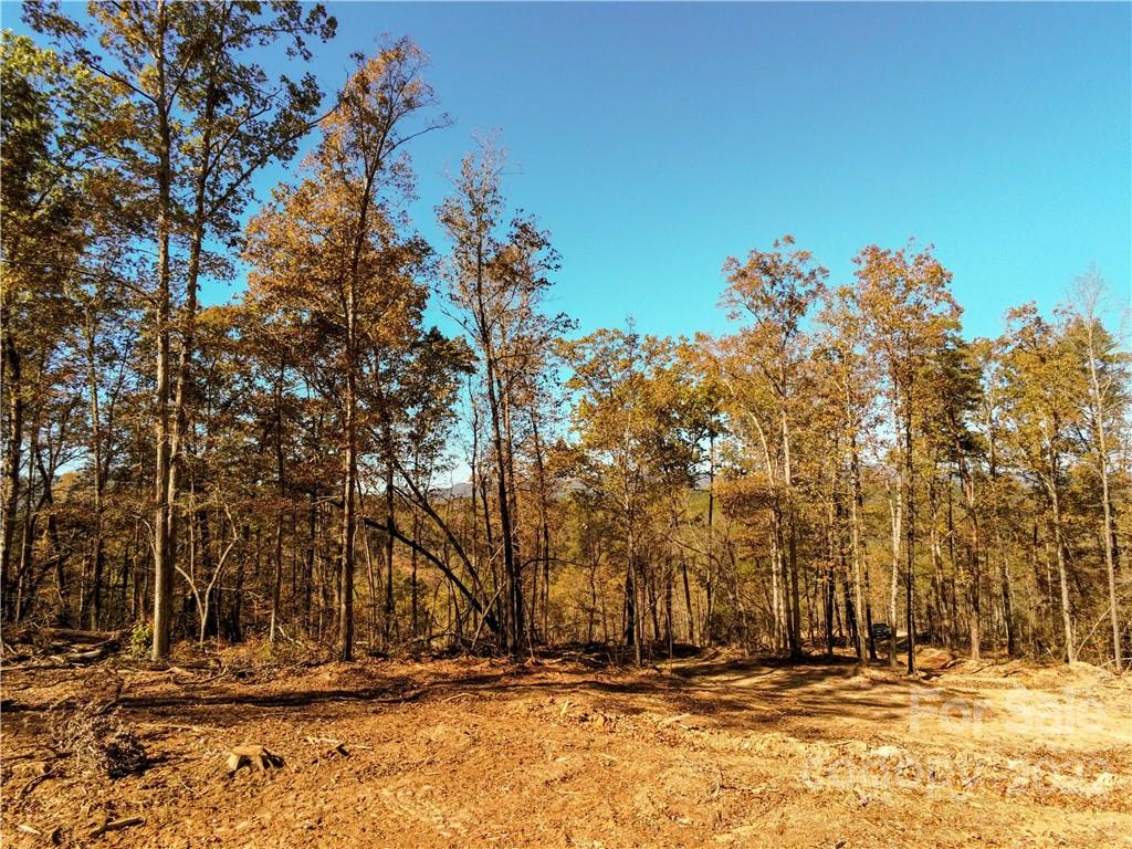 0 Hardin Store Road Rutherfordton NC 28139