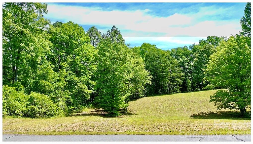 0 Shady Bark Lane Rutherfordton NC 28139